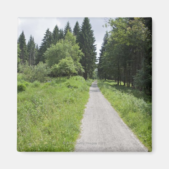 Germany, Thuringia, path in forest Magnet (Front)