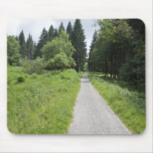 Germany, Thuringia, path in forest Mouse Pad