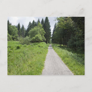 Germany, Thuringia, path in forest Postcard