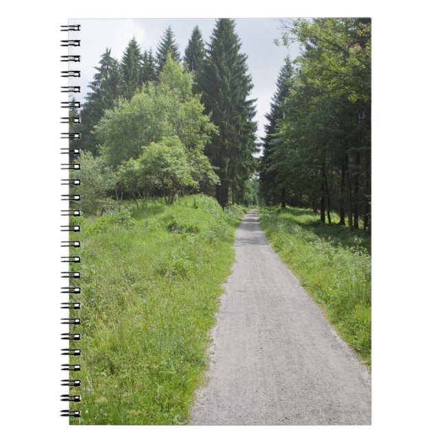 Germany, Thuringia, path in forest Spiral Notebook (Front)