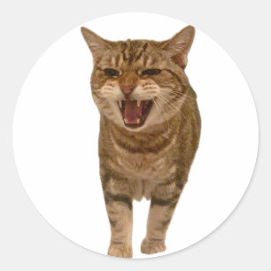 Geronimo Sticker - Meowing!