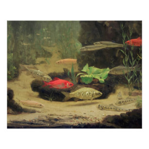 Gerrit Willem Dijsselhof - Gold/Silverfish Glossy Poster