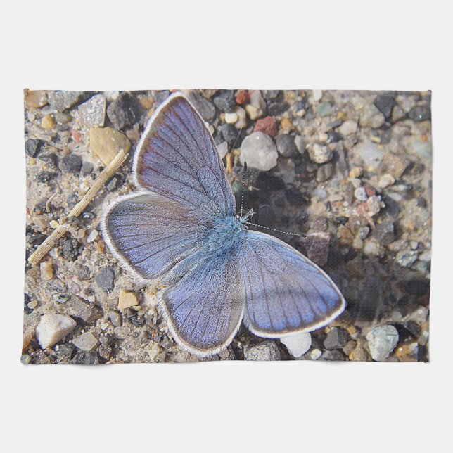 Geschirrtuch blauer Schmetterling Tea Towel (Horizontal)