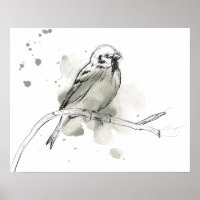 Gestural Bird Study