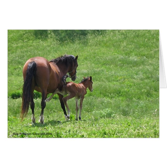 Get a Kick out of Life Horses (Front Horizontal)