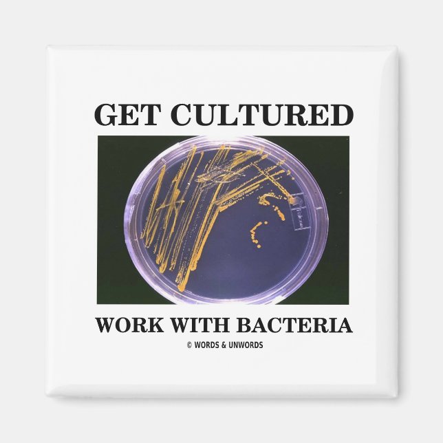 Get Cultured Work With Bacteria (Agar Plate) Magnet (Front)