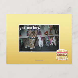 Get em boyz postcard