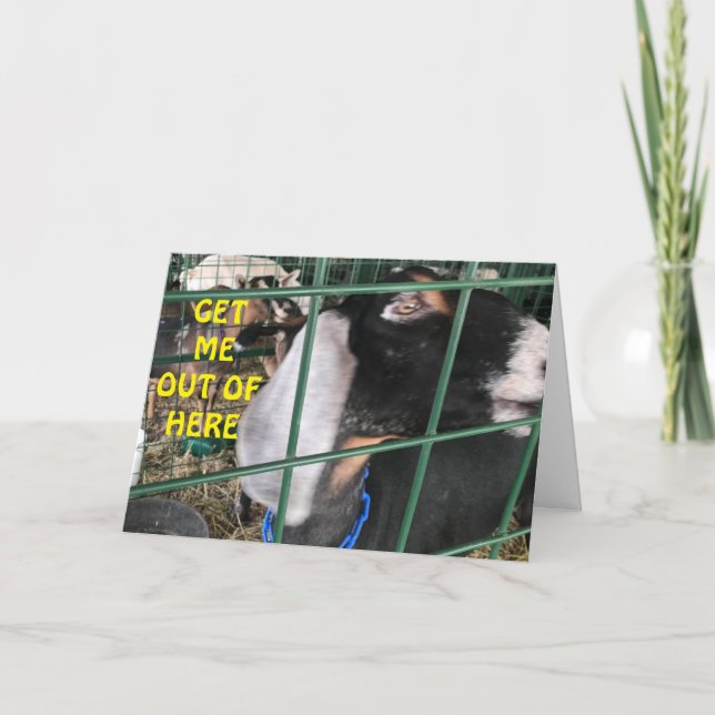 **GET ME OUT** WANT TO SAY "HAPPY BIRTHDAY" CARD (Front)