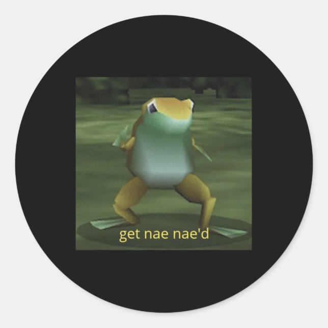 Get Nae Nae'd Dancing Frog Meme  Classic Round Sticker (Front)