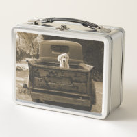 Get Out of Dodge - Dog Photograph
