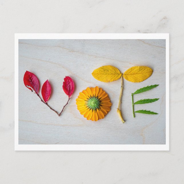 Get out the VOTE postcard (Front)