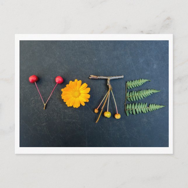 Get out the VOTE postcard (Front)