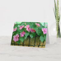 Get Well Basket of Impatiens Card