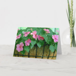 Get Well Basket of Impatiens Card