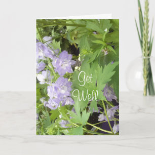 Get Well Card