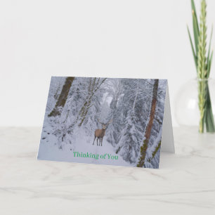 Get Well Card