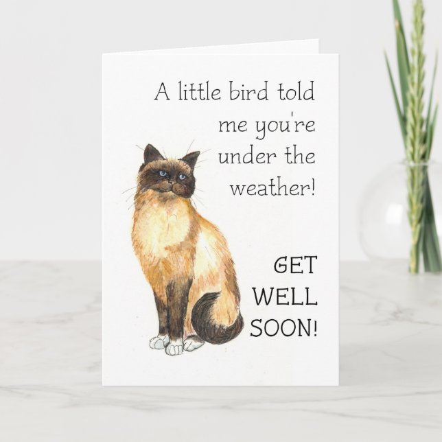 Get Well Card - Birman Cat (Front)