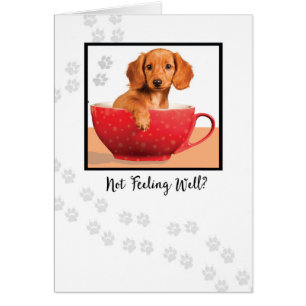 Get Well Cute Dachsund Dog in Cup