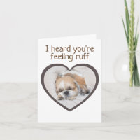 Get well cute puppy dog shihtzu sleeping heart