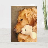 Get Well Cute Sad Golden Retriever Dog Pet
