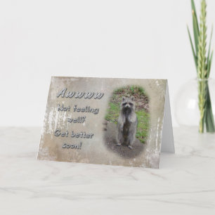 Get Well Greeting Card - Racoon  Feel Better Soon