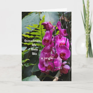 Get Well Orchids Card