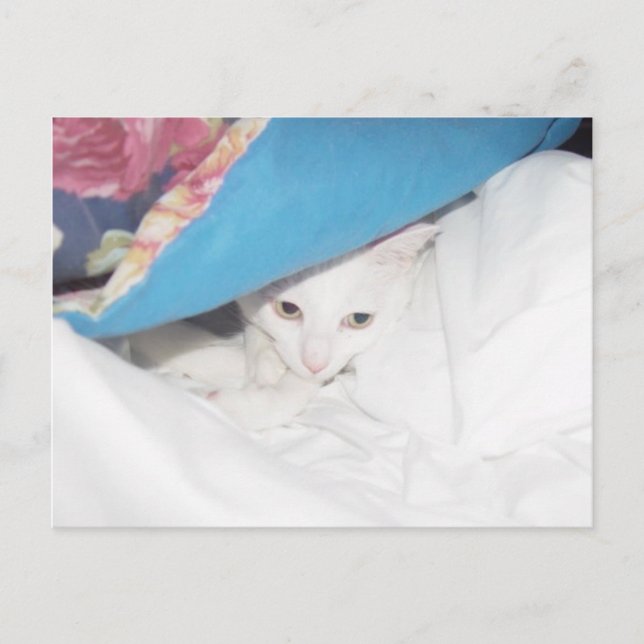 Get Well Postcard (Front)