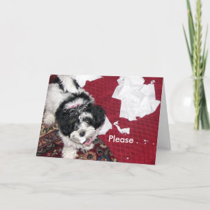 Get Well Puppy . Card