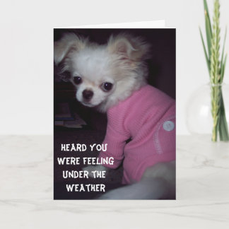 Get Well Puppy Card