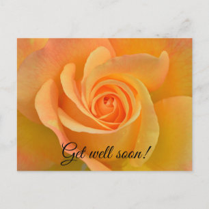 Get well rose postcard
