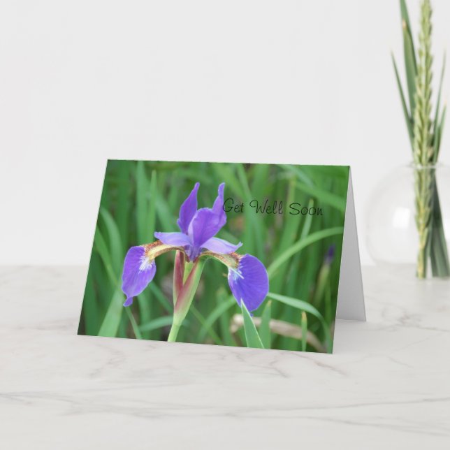 Get Well- Siberian Iris 2 Card (Front)