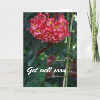 Get well soon and back to full bloom floral card