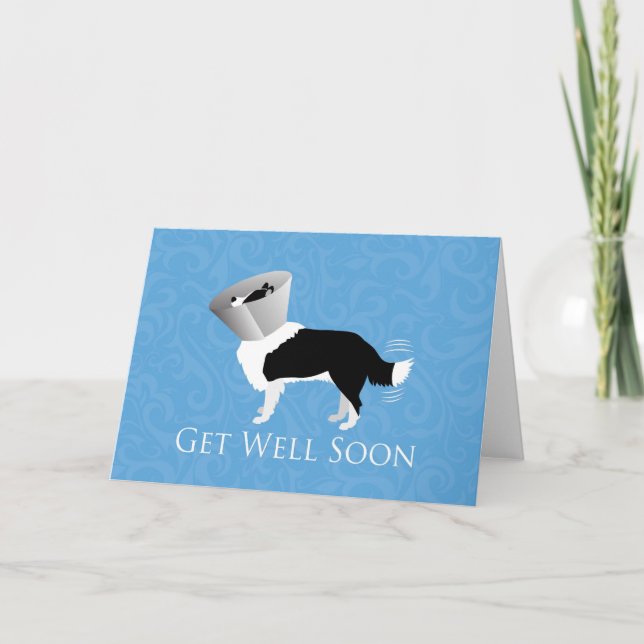 Get Well Soon - Border Collie Male Card (Front)