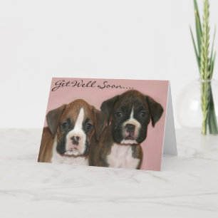 Get well soon Boxer Puppies greeting card