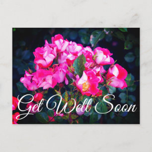 Get Well Soon Carefree Spirit Rose #1 Postcard