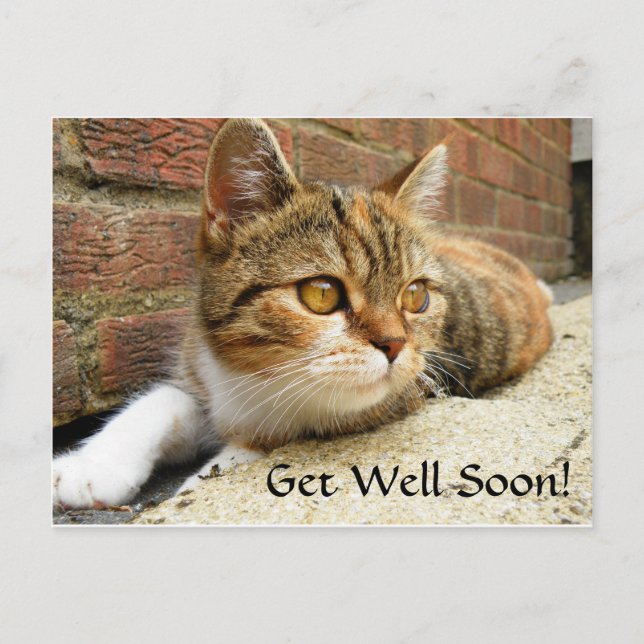 Get well soon Cat Card (Front)