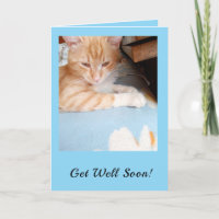 Get Well Soon! Cat Lovers Blue