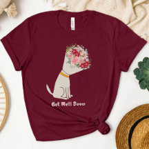 Get Well Soon cone of shame