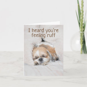 Get well soon cute puppy dog shihtzu sleeping card