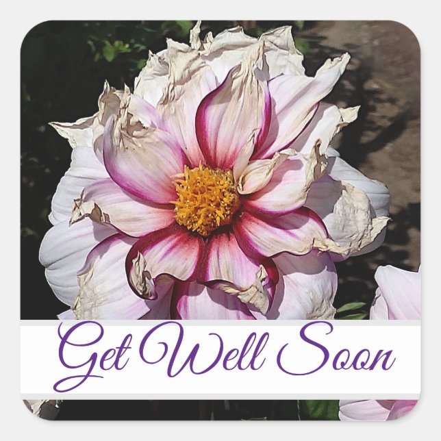 Get Well Soon Dahlia Edge of Joy #1 Stickers (Front)