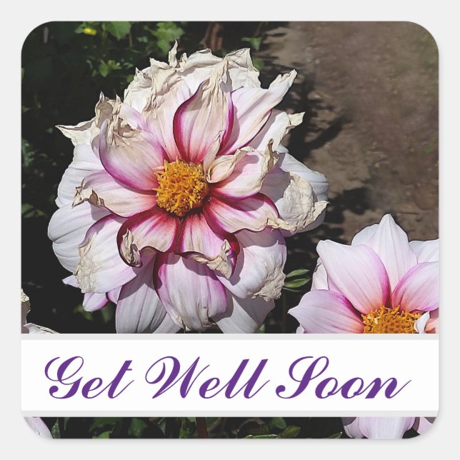 Get Well Soon Dahlia Edge of Joy #1 Stickers (Front)
