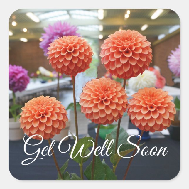 Get Well Soon Dahlia Rose Toscano #1-1 Stickers (Front)