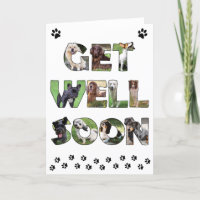 Get Well Soon dog card - oil painting word art