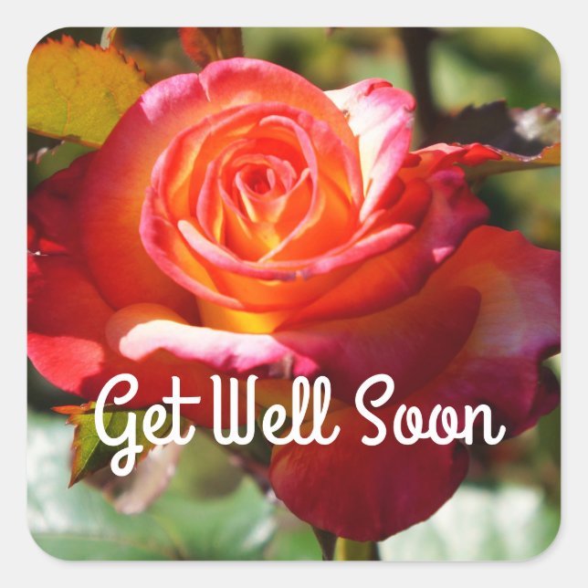 Get Well Soon Dream Come True Rose #2 Stickers (Front)