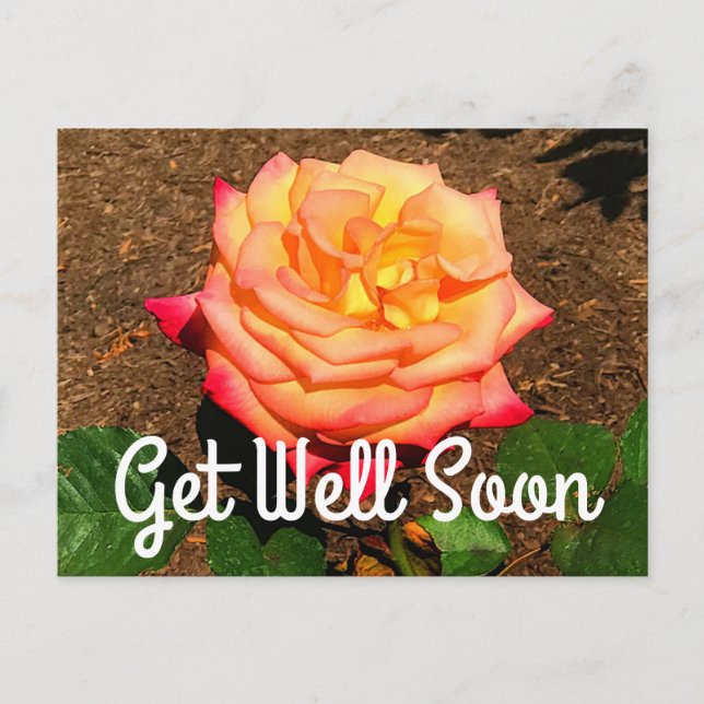 Get Well Soon Dream Come True Rose #3 Postcard (Front)