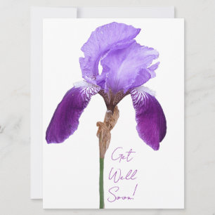 Get well soon elegant purple floral cute boho    holiday card