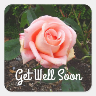 Get Well Soon Folklore Rose #1 Stickers