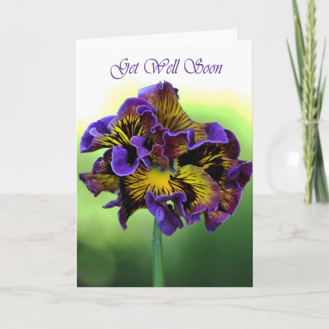 Get Well Soon -  Frilly Daisy Flower Card (Front)
