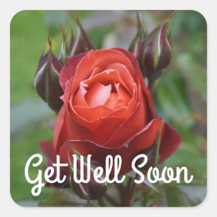 Get Well Soon Hot Cocoa Rose #1 Stickers