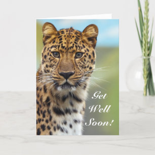 Get Well Soon Leopard greeting card